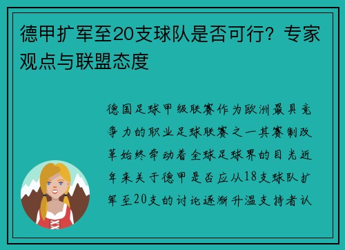 德甲扩军至20支球队是否可行？专家观点与联盟态度